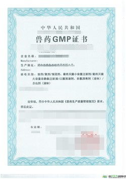 福建多地企業(yè)辦理獸藥GMP證書與增值電信業(yè)務(wù)指南
